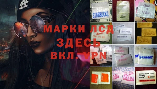 эйфоретик Горняк