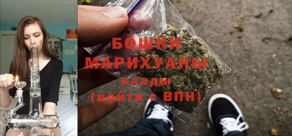 ГАЛЛЮЦИНОГЕННЫЕ ГРИБЫ Горнозаводск